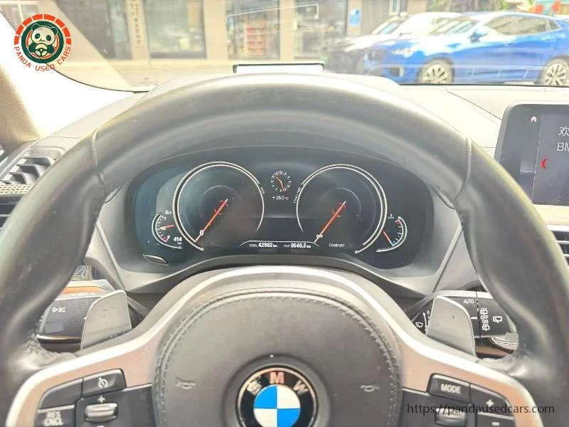 BMW X3 steering wheel and instrument display, reference cabin photograph